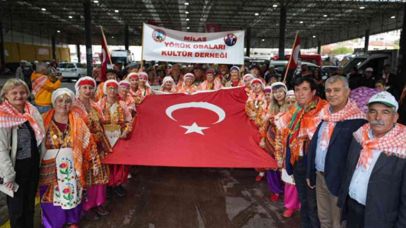 Milas’ta hasat şenliği 
