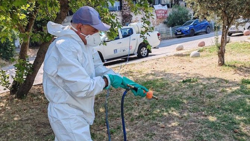 İBB’den Kenelerle Aktif Mücadele