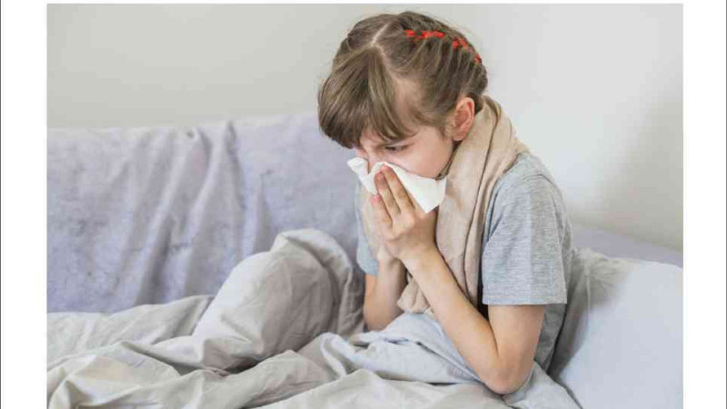 Gribi Hafife Almayın